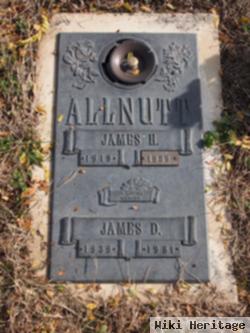 James Henry Allnutt