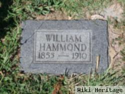 William Hammond