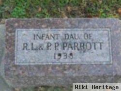 Infant Parrott