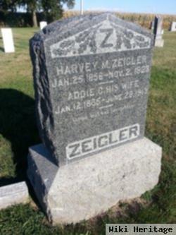 Harvey M Zeigler