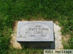 Joyce Elaine Goris