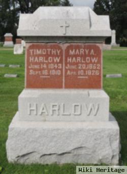 Timothy Harlow