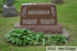 Joseph W Fiebiger