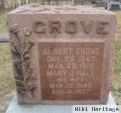 Mary J Hale Grove