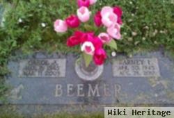 Carol A Brannan Beemer