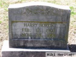 Harry Borok