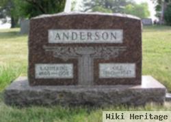 Ole Anderson