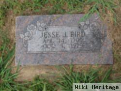 Jessie J "jess" Bird