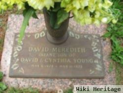 David Meredith Young