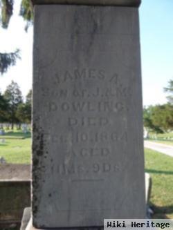 James A Dowling