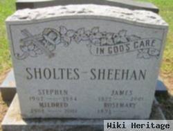 Stephan P. Sholtes