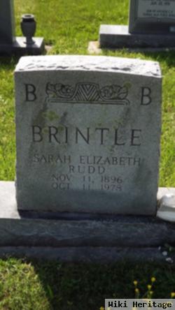 Sarah Elizabeth Rudd Brintle