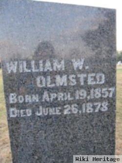 William W Olmsted