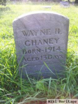 Wayne Homer Chaney