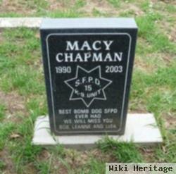 Macy Chapman