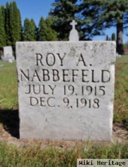 Roy Nabbefeld