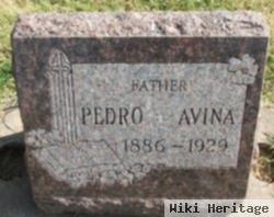 Pedro Avina