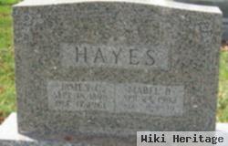 James Crawford Hayes, Sr