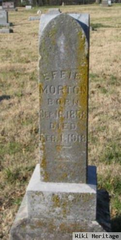 Effie Morton