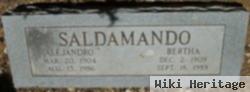 Alejandro Saldamando Mosqueira