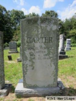 Samuel Horace Carter