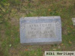 Anna Seidler Colley