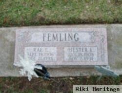 Rae E. Femling