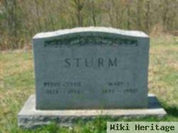 Mary L. Sturm