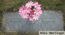 Bernice Kier Briceland Holub