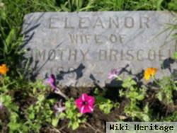 Eleanor "ellen" Harrington Driscoll