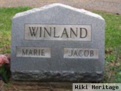 Jacob Winland