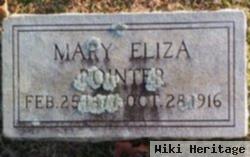 Mary Eliza Pointer