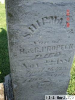 Shipman Newkirk Propeck