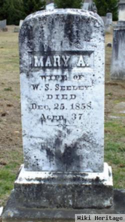 Mary Averill Seeley