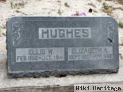 Ellis W Hughs