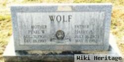 Harry A Wolf