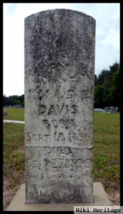 Mary S Davis