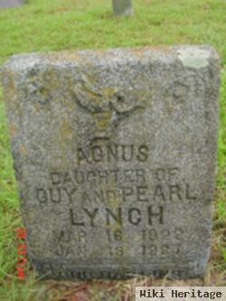 Agnus Lynch