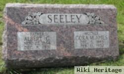 Cora M Ames Seeley