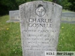 Charlie Gosnell