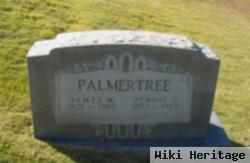 Jennie Geneva Tyler Palmertree