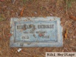 Herman Henry Eichorst