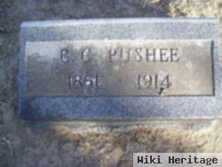 Edward Clarence Pushee, Jr