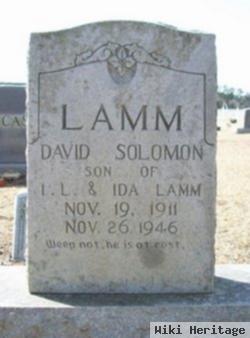 David Soloman Lamm