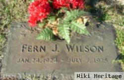 Fern Jewel Carter Wilson