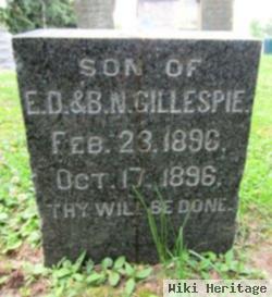 David N. Gillespie