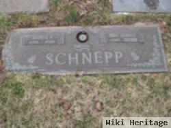 Kenneth F Schnepp