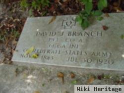 David J Branch