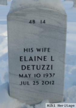 Elaine Lincoln Detuzzi