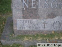 Bertel S Nelson